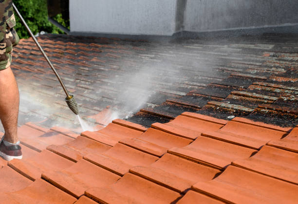 Best Best Pressure Washing Companies  in Lakeland, TN